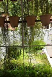 Sembawang Hills Estate (D20), Terrace #454549821